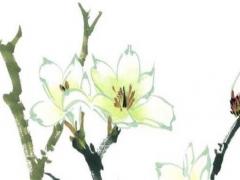 屬鼠女明天運(yùn)氣 屬鼠女今天運(yùn)氣