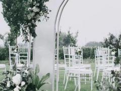 天蝎座屬于哪種小萌物?