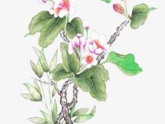 2001年屬蛇的和什么屬相最配 2001年蛇與什么屬相相配