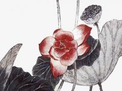 臉的肺區(qū)有八字紋是什么意思啊 臉上哪個(gè)部位對(duì)應(yīng)肺