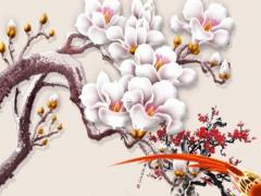 吃什么食物可以增強免疫力女性 吃啥增強免疫力女人
