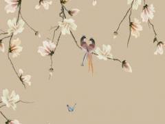 喜得雙子是什么意思呀 喜得雙嬌是女孩還是男孩