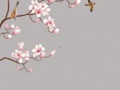 八字酉代表什么意思 酉時八字