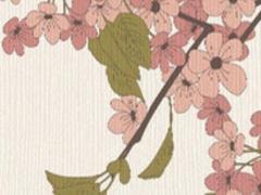 舞蹈家金星近況 舞蹈家金星的舞蹈視頻