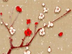 87年12月屬兔的今年有姻緣嗎,87年12月份屬兔的命運(yùn)