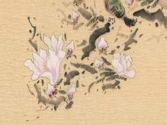 1991年屬羊女一生財運怎么樣 1991年屬羊女一生命運