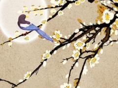 象在易經(jīng)里的意思 易經(jīng)里象是什么意思