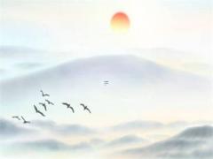 八卦圖八卦圖講解,乾、坎、艮、震、巽、離、坤、兌