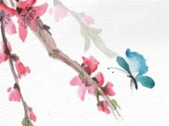 屬虎女與什么相克 屬虎女跟什么屬相相克