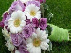 十二星座值得炫耀的閃光點有哪些？