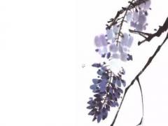 可字在易經里的意思 可字的意思及五行