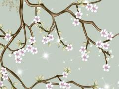 新相親第三季西瓜免費看 新相親第三季完整免費