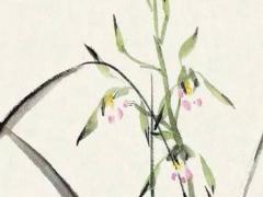八字喜火木是什么意思 八字喜火用木怎么起名