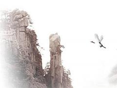 屬兔的87年的今年幾歲,87年屬兔的人今年多大了