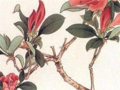 八字什么是食傷生財 啥叫食傷生財