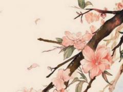 婚配主要看哪些合不合 婚姻配對看什么最準(zhǔn)確