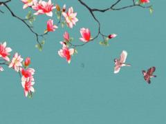 wifi信號(hào)滿格但是很卡 WIFI信號(hào)滿格但是很卡是什么情況