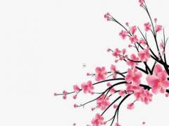 屬猴人戴什么玉石吊墜好,屬猴的人佩戴什么玉器最好