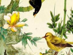 八卦生辰八字查詢 生辰八字卦象查詢