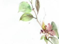 戊寅日是什么意思 戊寅日指什么