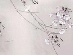 屬鼠人跟屬馬人的婚配,屬鼠和屬馬的婚姻怎么樣 好不好