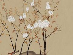 免費塔羅牌,塔羅牌78張詳解帶圖含義