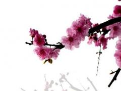 2024年4月是農歷幾月 2024年農歷4月初四是幾月幾號