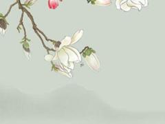 摩羯女拉黑一個人的期限 摩羯女把我拉黑了還會拉回來嗎