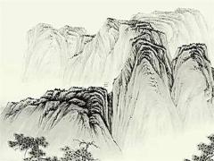 屬蛇辦公室適合養(yǎng)的綠植,屬蛇辦公桌養(yǎng)什么綠植
