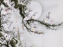 與女生聊天的開場白和結(jié)束語 跟女生聊天開場白臺(tái)詞大全