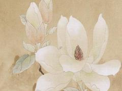 屬虎適合住幾樓 98年屬虎適合住幾樓