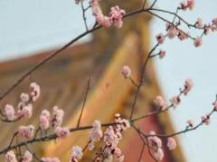 夫妻二人八字喜用神是什么 夫妻喜用神一樣好還是互補(bǔ)好