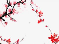 2021是平年還是閏年啊,閏年是除以4還是400