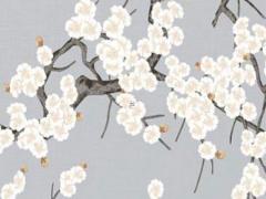 生肖虎農歷幾月出生最好命運女孩 虎女農歷幾月出生命苦