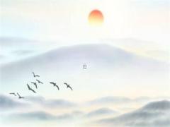 2024年陽歷4月出生的寶寶是什么命 2024年屬龍幾月出生的寶寶最好