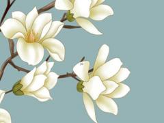 五行查詢生辰八字查五行,一張圖看懂自己的八字