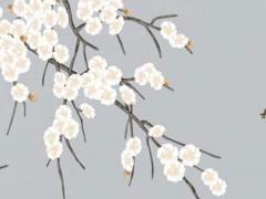 算命能算出哪一年有災(zāi)嗎 算命能算幾年的
