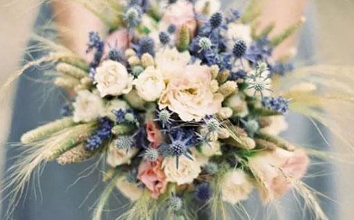 天枰座上升星座水瓶座 天枰座上升星座水瓶座