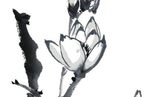 算命婚姻之正式男友何時才能出現在我身邊 算什么時候有男朋友