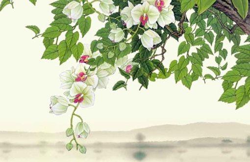 手機(jī)號號碼測兇吉,134開頭的手機(jī)號碼大全