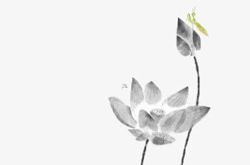 屬牛的在2024年結婚好嗎 屬牛2024年結婚好嗎