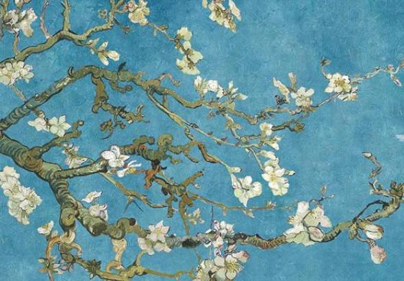 屬龍女76婚配哪個(gè)屬相好 76屬龍女和什么屬相最配 屬龍女76婚配哪個(gè)屬相好 76屬龍女和什么屬相最配