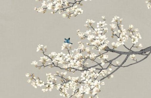 男生屬蛇女屬兔能婚配嗎,男屬蛇的和女屬兔的合不合 男生屬蛇女屬兔能婚配嗎,男屬蛇的和女屬兔的合不合