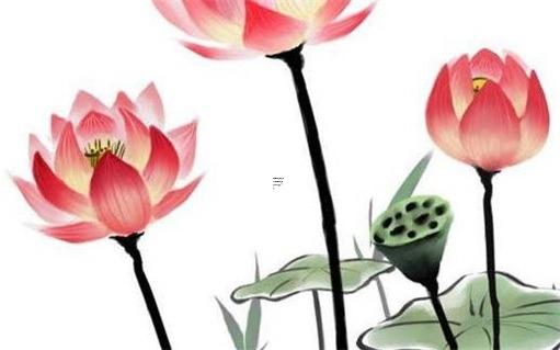 梅花易數(shù)斷卦最準(zhǔn)確的訣竅，梅花易數(shù)斷卦最準(zhǔn)確的訣竅，推薦25篇