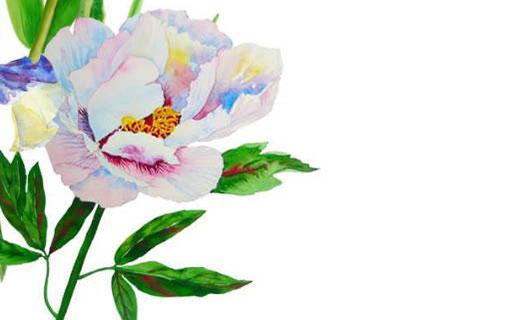 好聽的門的名字大全 好聽的門的名字大全