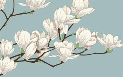 85屬牛的35歲后的運氣 85屬牛的35歲后的運氣男