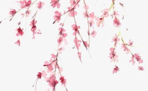 摩羯座生日是幾月 摩羯座生日幾月幾日
