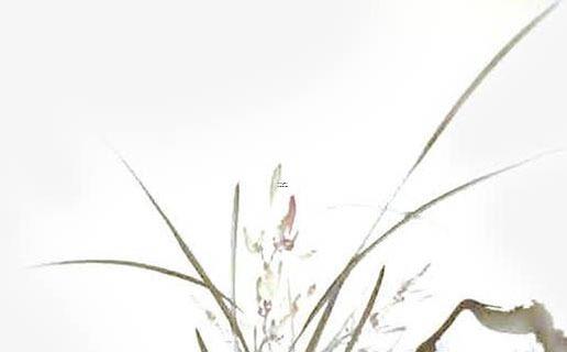 塔羅牌為什么買不到,塔羅牌適合哪些人使用 塔羅牌為什么買不到,塔羅牌適合哪些人使用