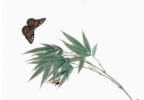 戊土是什么意思，戊土一般是哪一年出生的