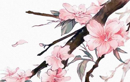 納音算命和四柱算命 納音和四柱